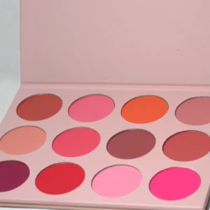 Palette Blush Pro Vibrant